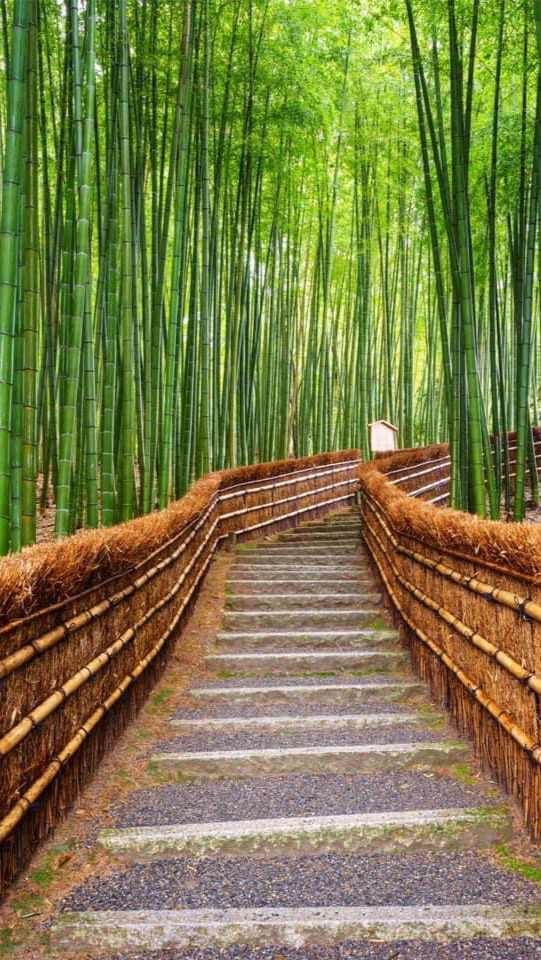 健康調理專家知識分享、團購、教學✨