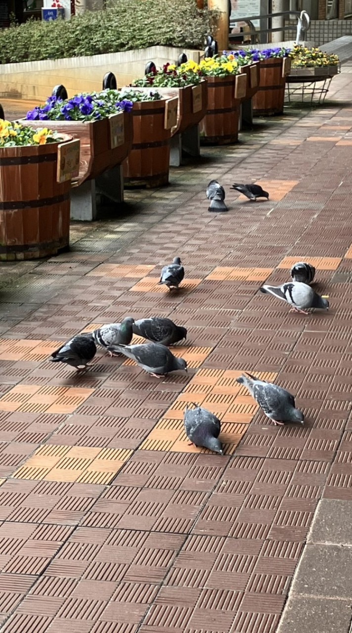 雑談するぞぉぉぉぉぉぉぉщ(ﾟДﾟщ)ｶｧｧｧﾓｫｫｫｫｫｫｫｫﾝ