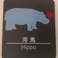 大和第四屆河馬班