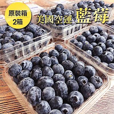 【愛上水果】美國空運藍莓原裝箱12盒*2箱(約125g/盒)