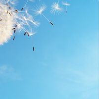 英文口說/閱讀資訊分享平台