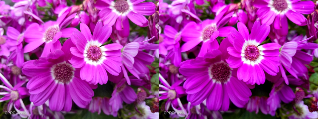 OPPO Reno 標準版快速動手玩：日夜拍、跑分、新介面實測