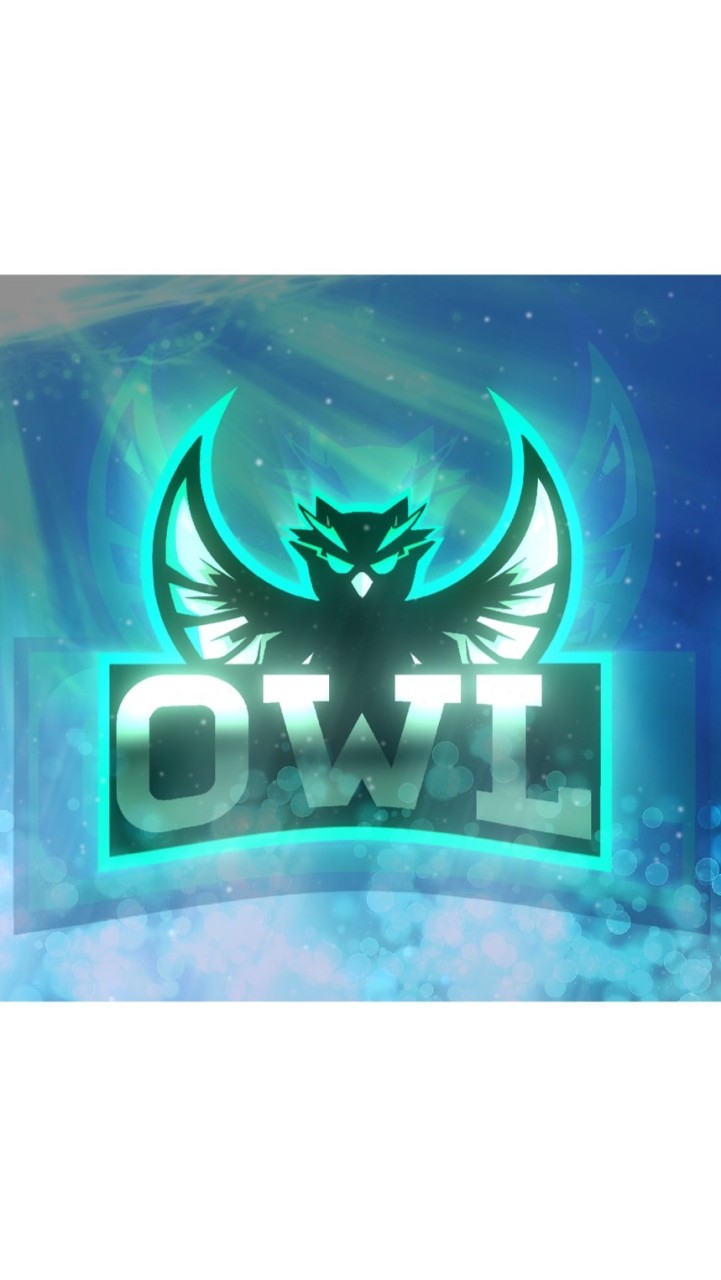 OpenChat 🦉OWLクラン フォートナイト(日本学生esports協会 / Gameic 認証団体)