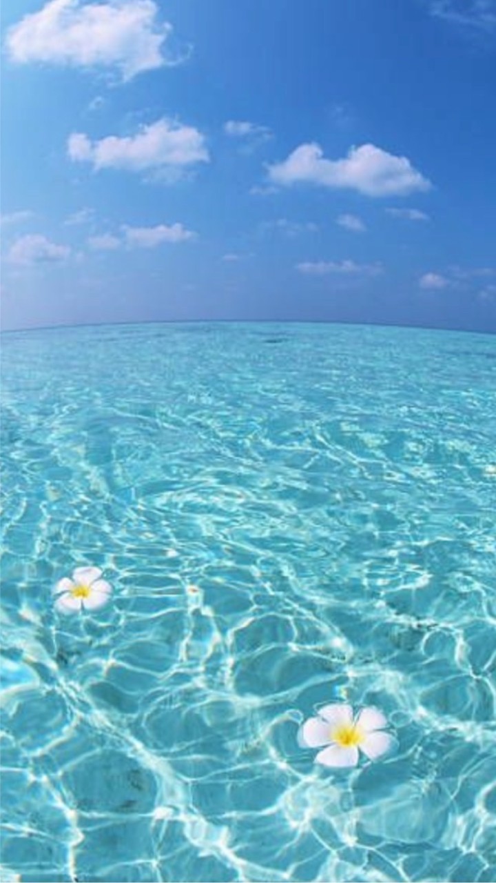 🐠🐠杉山清貴ファンの雑談室🐠🐠