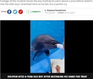 水族館のイルカに噛まれた6歳児 右手の シグナル が原因か ウクライナ 動画あり