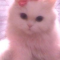 นางฟ้าแม่ทูนหัว🧚🏻‍♀️🌺