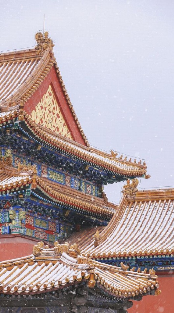 ⚜️🐉 หวนคืนสู่ต้าชิง | โรลจีนโบราณ 🐉⚜️