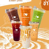 ชาหลังเขา (ชาใต้)
