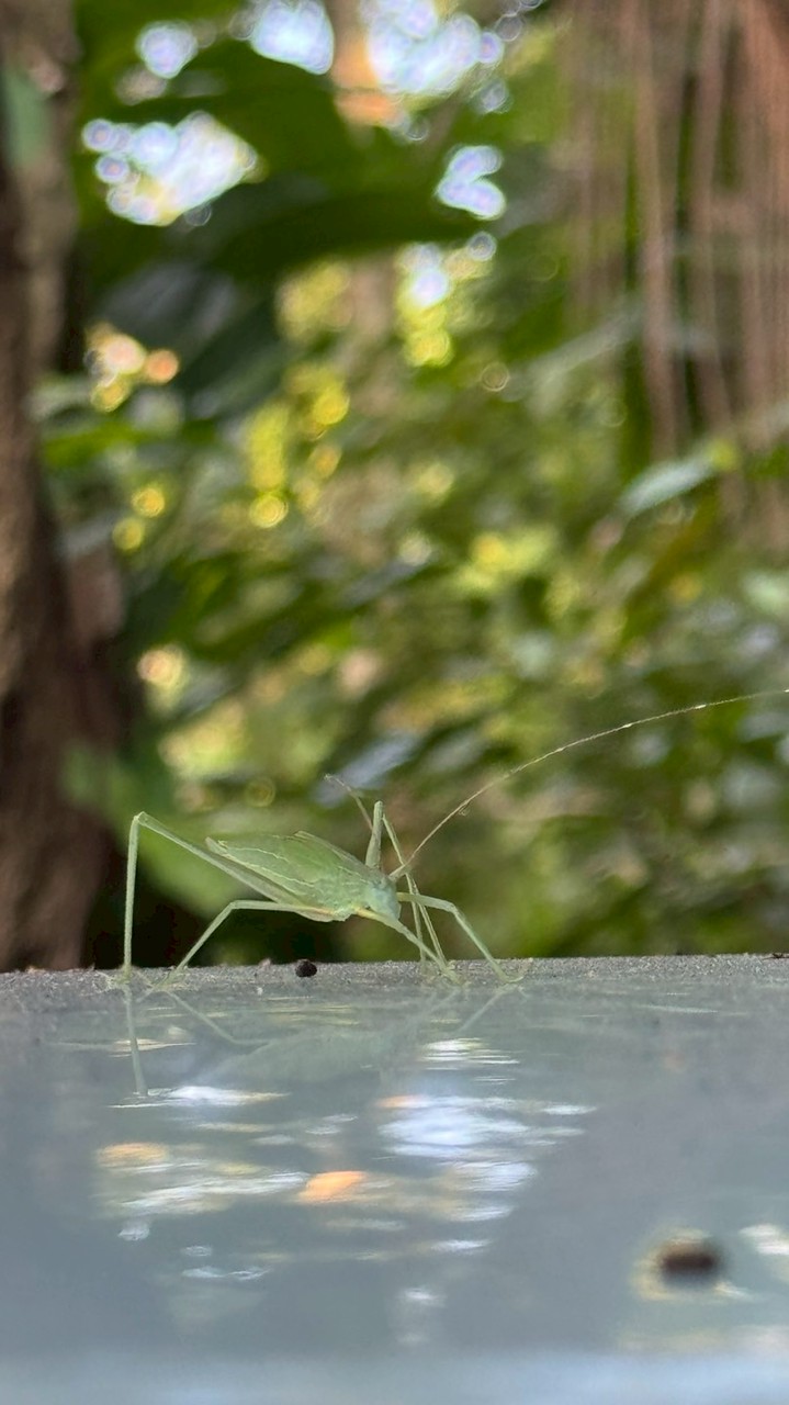 PTVS培德工家在校生