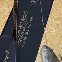 ジャイアントベイト ビックベイト      好きな人の集まり