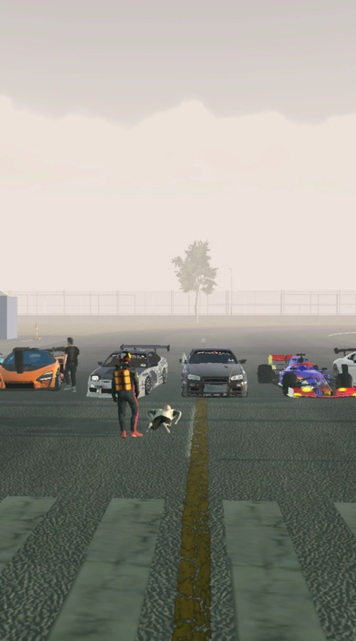 カーパーキング雑談、配布、バイナルできるお