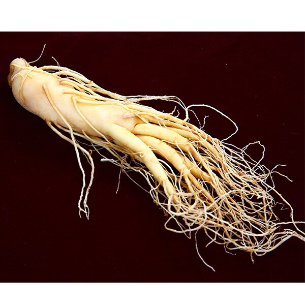 此為1斤價錢，預知價錢請來電洽詢，韓國錦山新鮮人蔘-亂(單支)x1