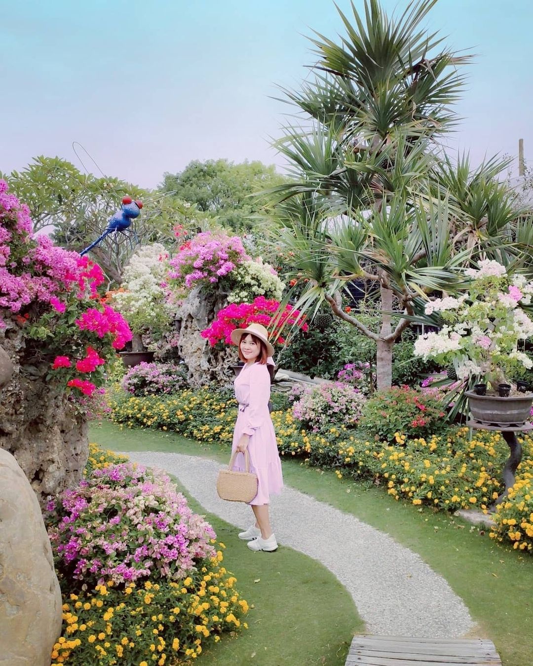 豪景園藝 @hhaacc12