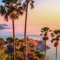 Dotlive Phuket