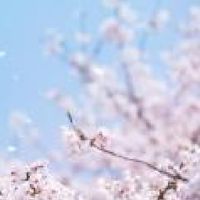 発達が心配なママの部屋