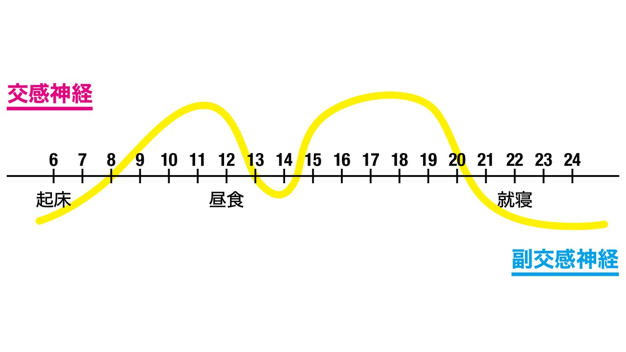 謎多き存在 自律神経 その正体を突きとめろ