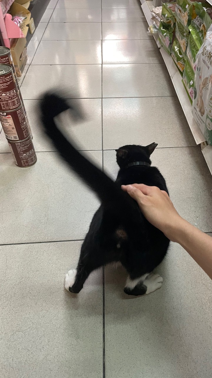 TWH同心會