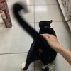 TWH同心會