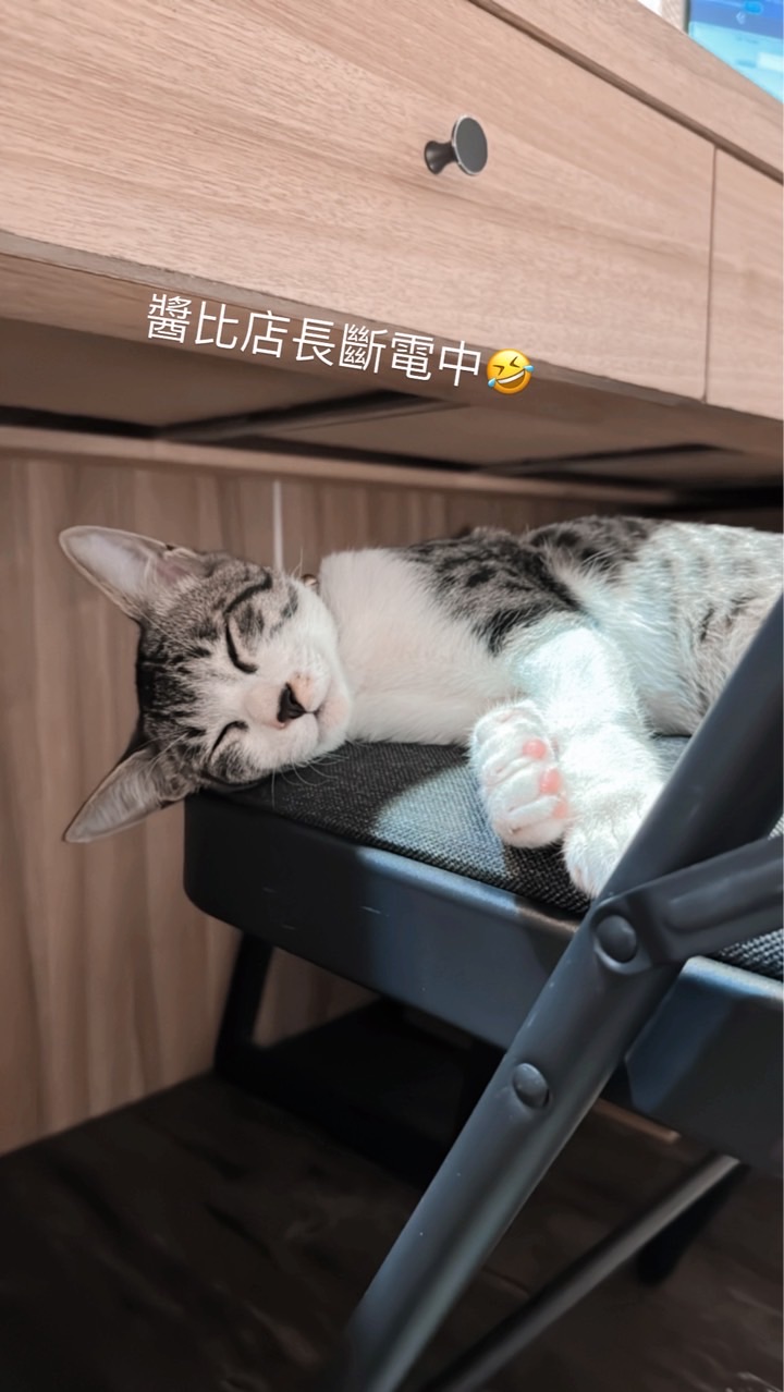 南京跳床陪練室