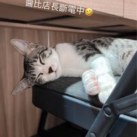 南京跳床陪練室