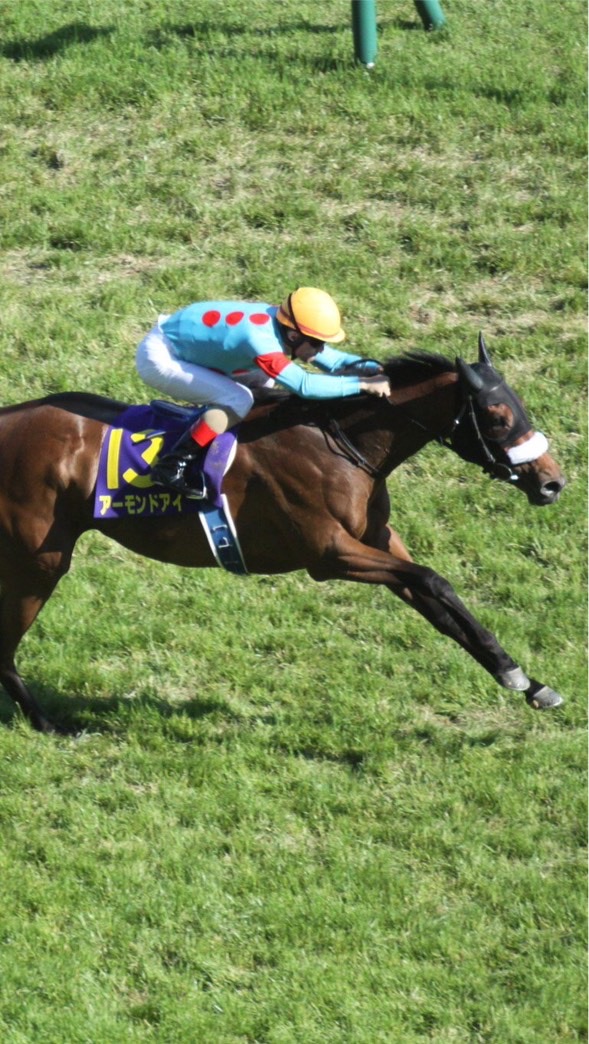 馬券師Yの競馬部屋🏇のオープンチャット