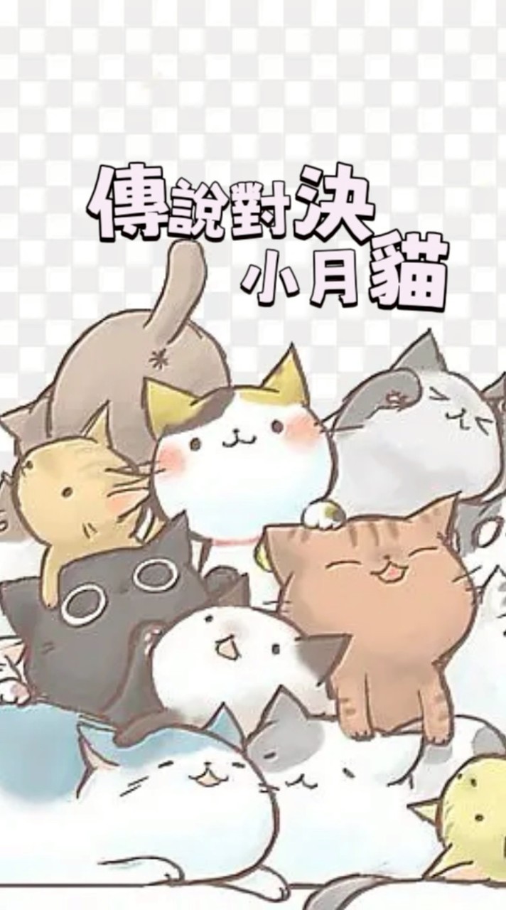 傳說對決小月貓🌛