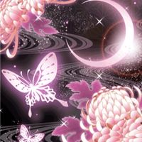 新星⭐︎雑談部屋