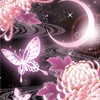 新星⭐︎雑談部屋