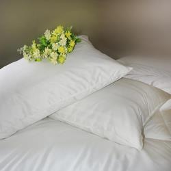 【Victoria】飯店專用緹花羽毛枕(2顆)