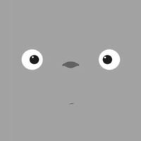 フォトナ初心者の集まり