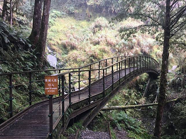▲見晴懷古步道的木棧橋。（圖／奧丁丁體驗）