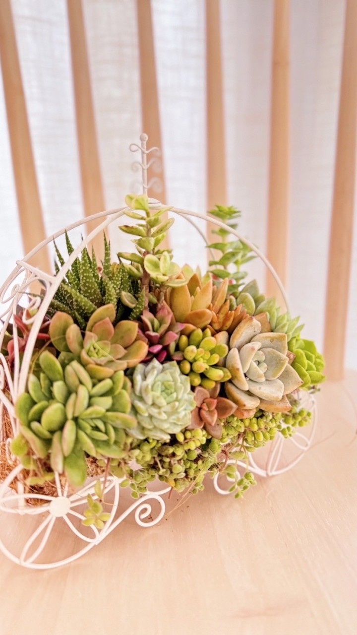 綠光花園的植栽手作美學