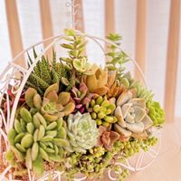 綠光花園的植栽手作美學