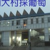 金子觀光葡萄園