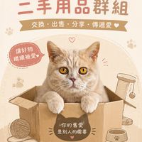 貓咪食衣用品二手群