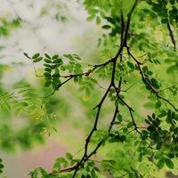 🍀メンタルヘルス🍀
