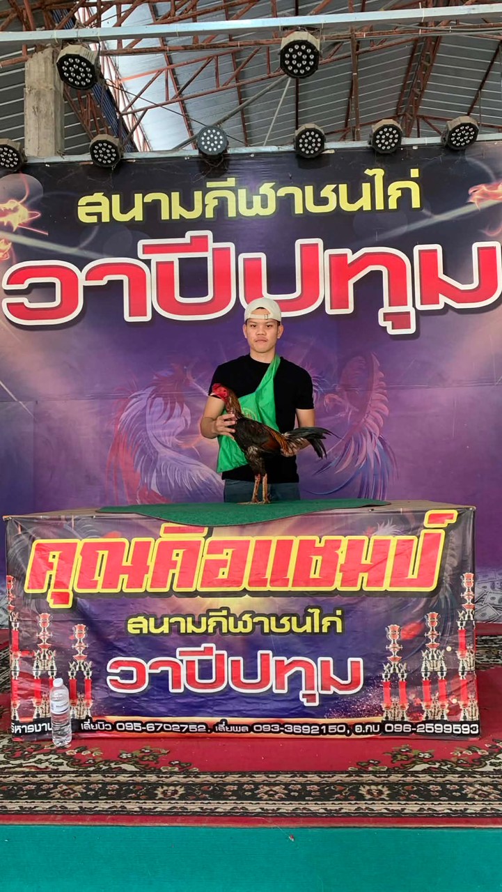ซุ้ม.หงส์นครฟาร์ม(พม่าซาดิส)