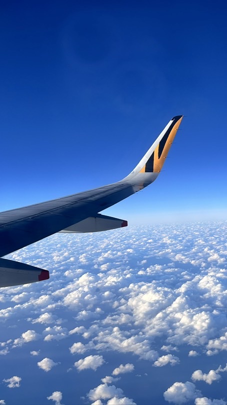 Sally的好物分享