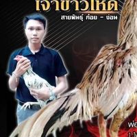 ไก่ชน ส. ยิ่งมงคลอีสาน