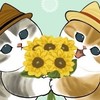 中高生限定雑談＆ライト