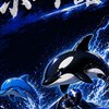 イルカ🐬＆シャチ🫍のボート舘🐳
