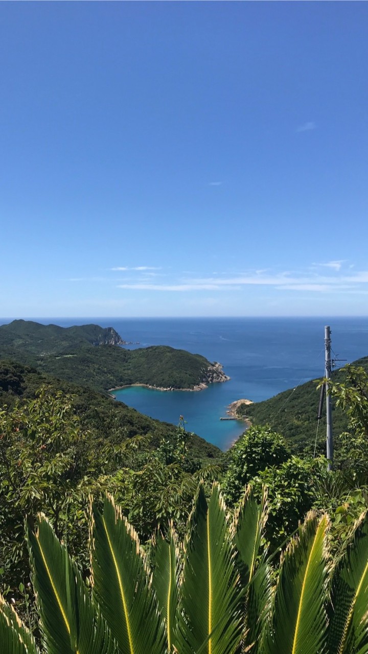 島留学、離島留学についての情報交換ルーム🌿