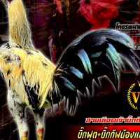 โสภิดาฟาร์ม
