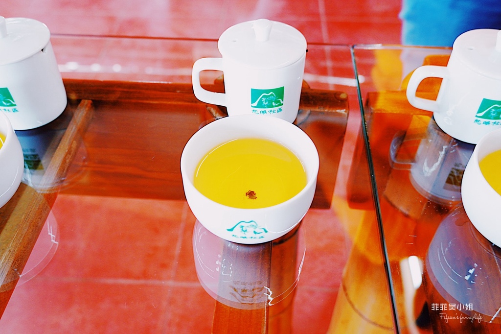 嘉義梅山精緻旅遊 龍眼林茶工場 如何喝出冠軍茶的祕密 體驗比賽茶等級的評鑑方式