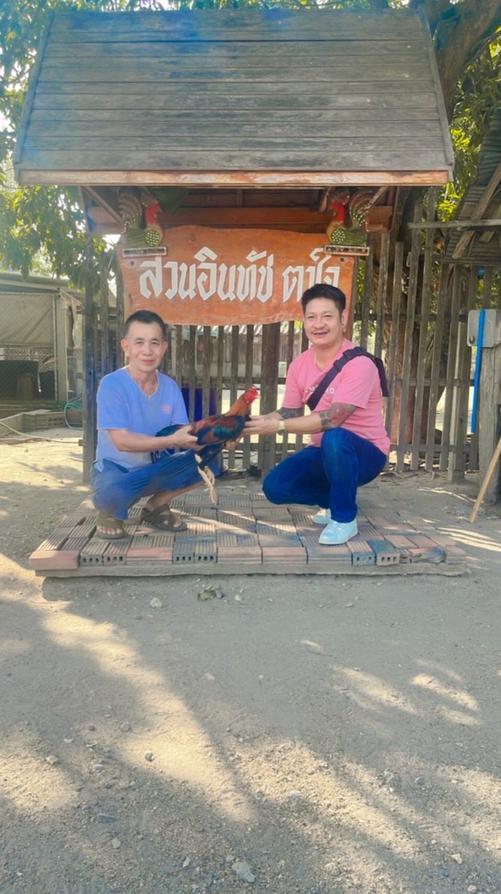 อ.เอขนส่ง ฟาร์ม เชียงใหม่