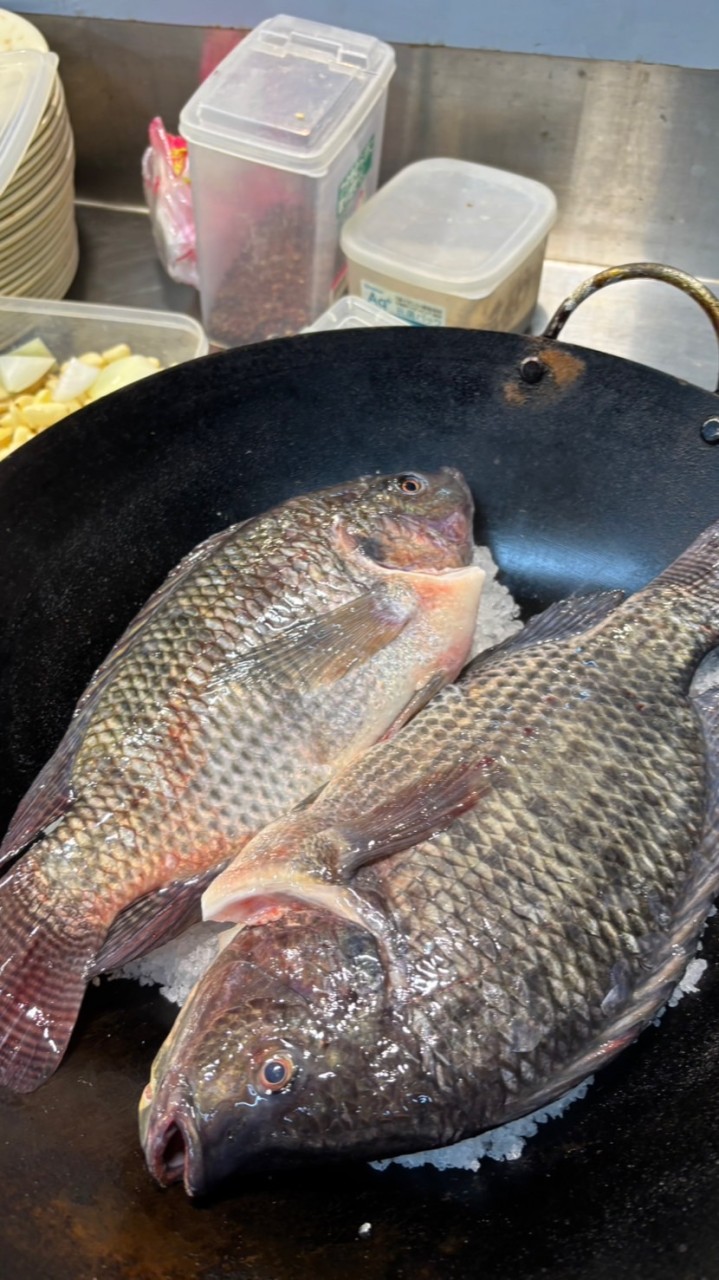 有間鹽烤魚預購群(G13 14)