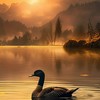 💖紅塵過客40×50+60~70