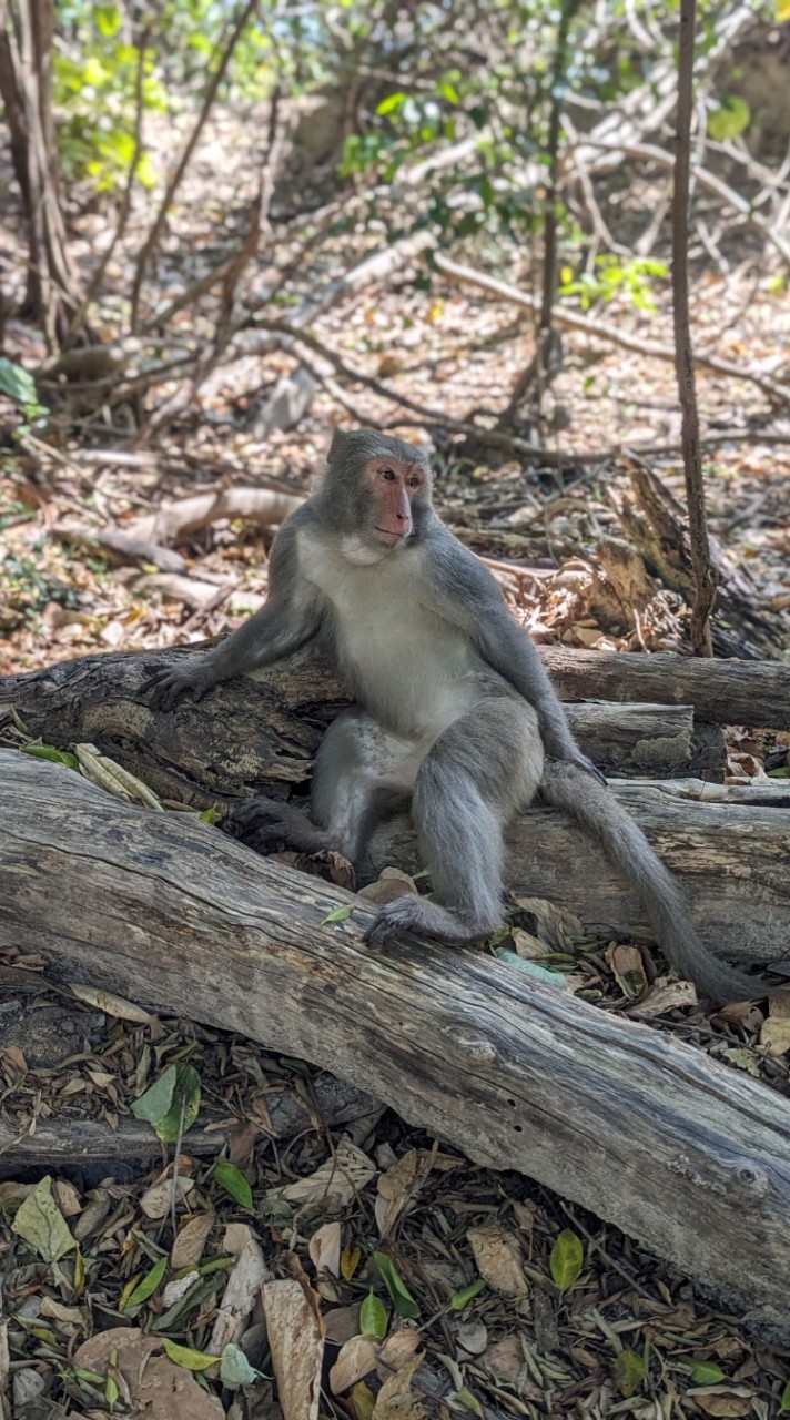 猴共存會員群組