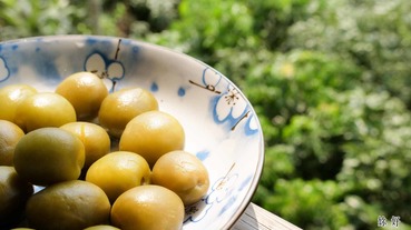 楠西美食 | 梅嶺採梅趣，來楠西採梅、品嚐無菜單農家料理！