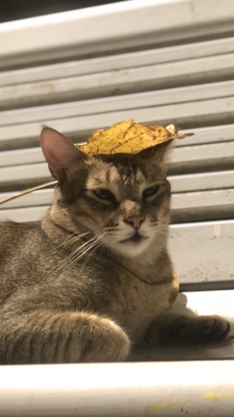 逼一逼逼逼逼